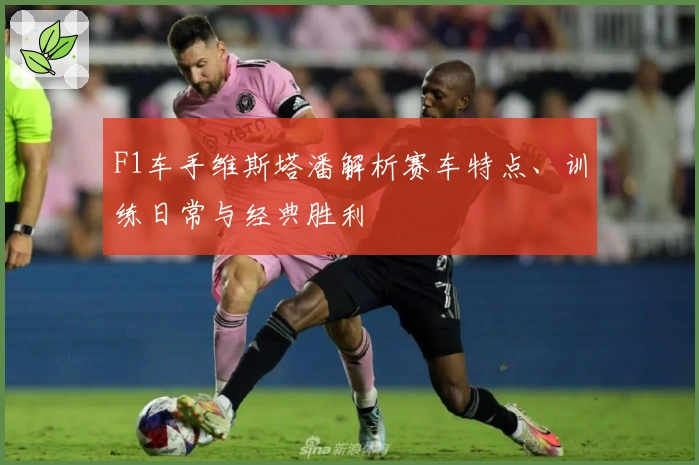 F1车手维斯塔潘解析赛车特点、训练日常与经典胜利