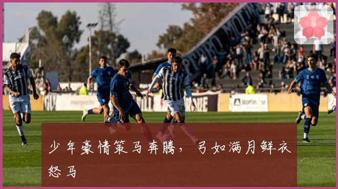 少年豪情策马奔腾，弓如满月鲜衣怒马